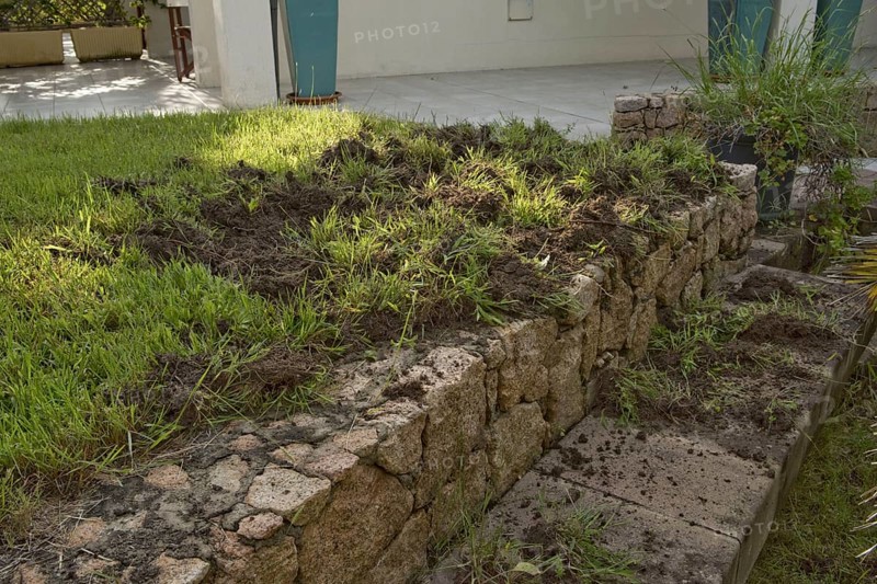 Damage caused