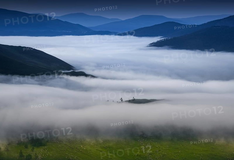 Morning fog in Orkhon riverbank