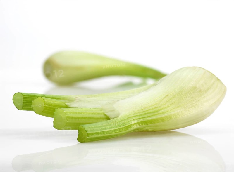 Small fennel