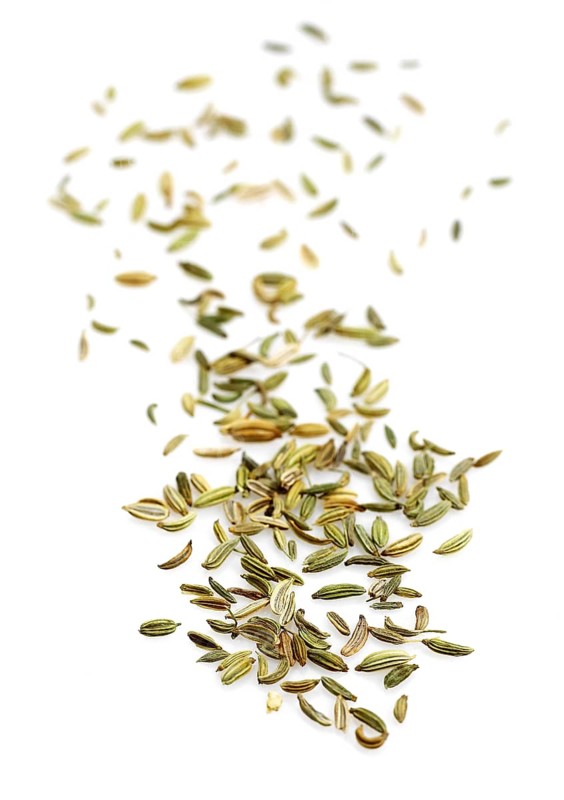 FENNEL SEEDS