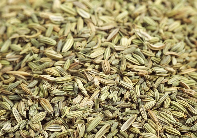 Fennel