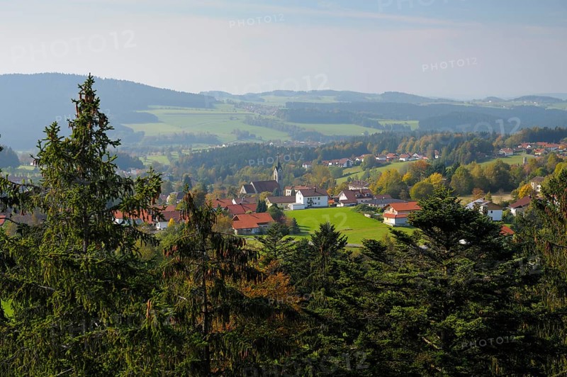 View of Neuschoenau from the tree top walk