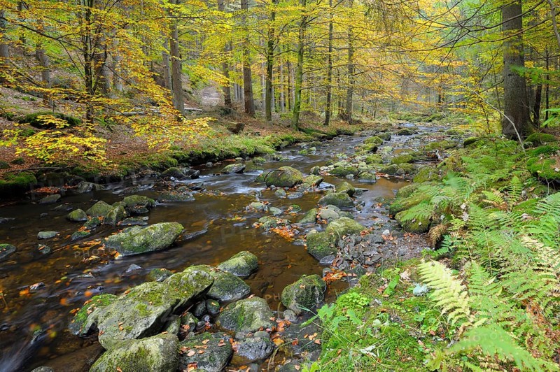 Stone gorge in autumn