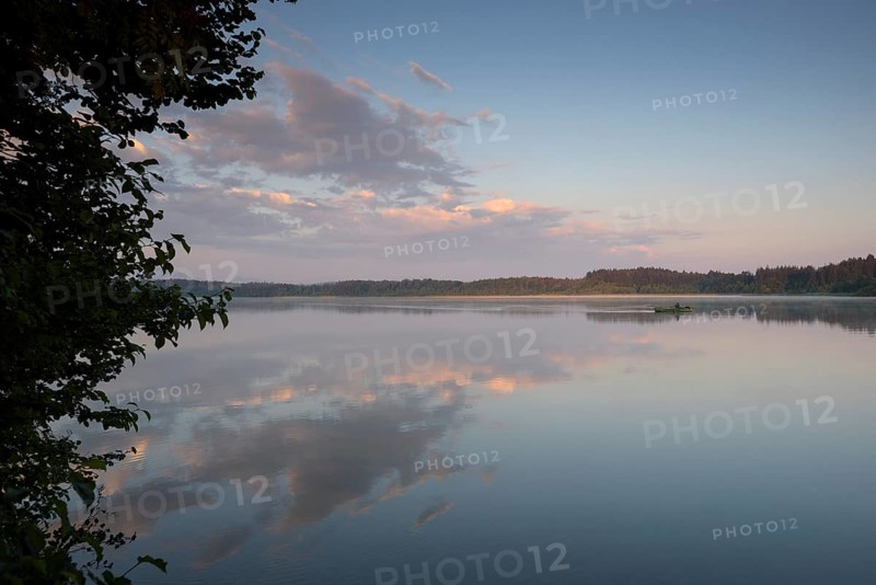Hartsee