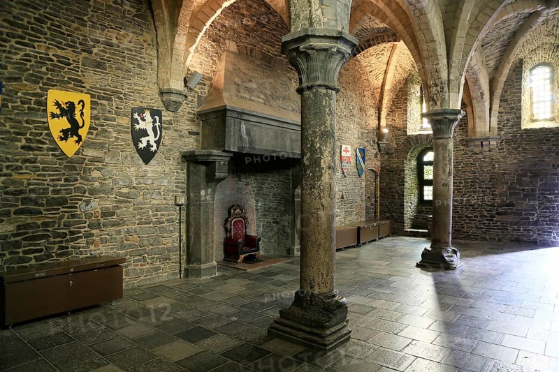 Hall with fireplace and vault