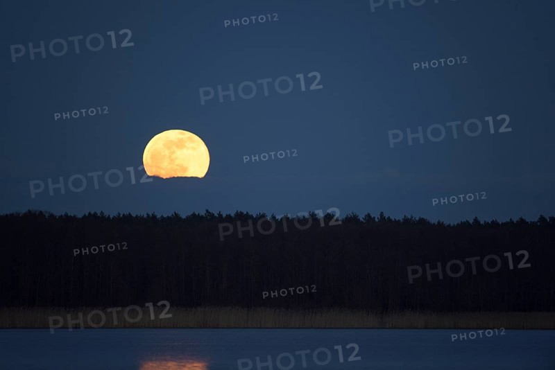 Full moon