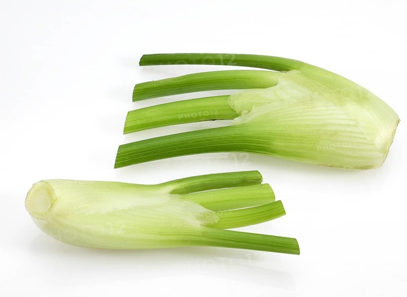 Small fennel