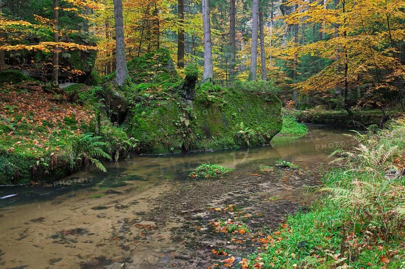 The Kirnitzsch flows through the Kirnitzschtal