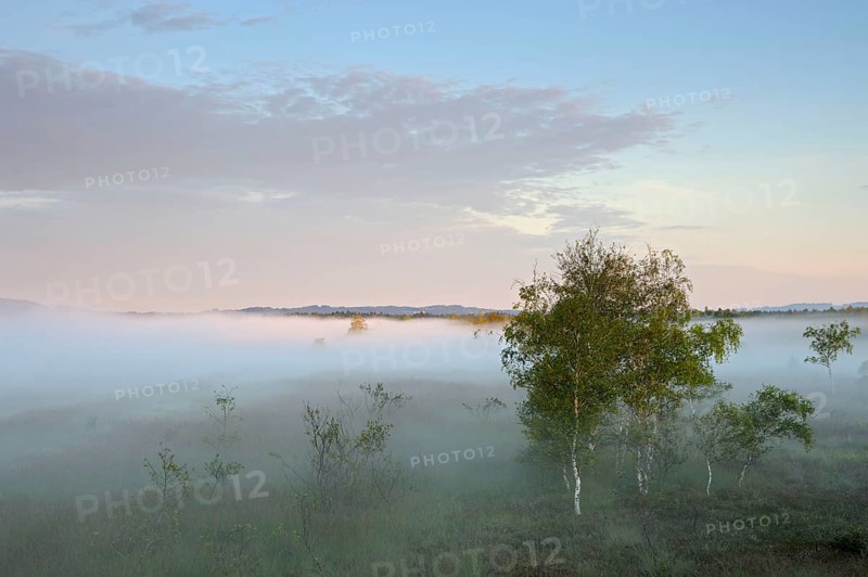 View from lookout tower onto moor