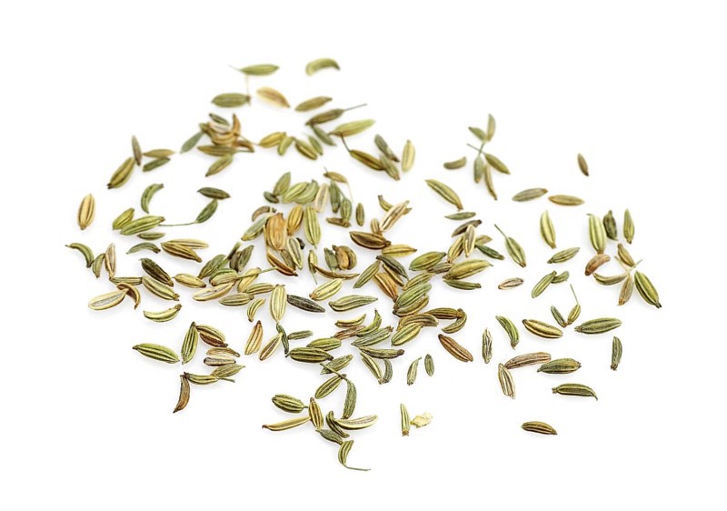 Seeds of fennel