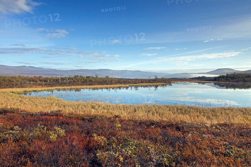 Lake in the marsh area of Fokstumyra Nature Reserve in autumn