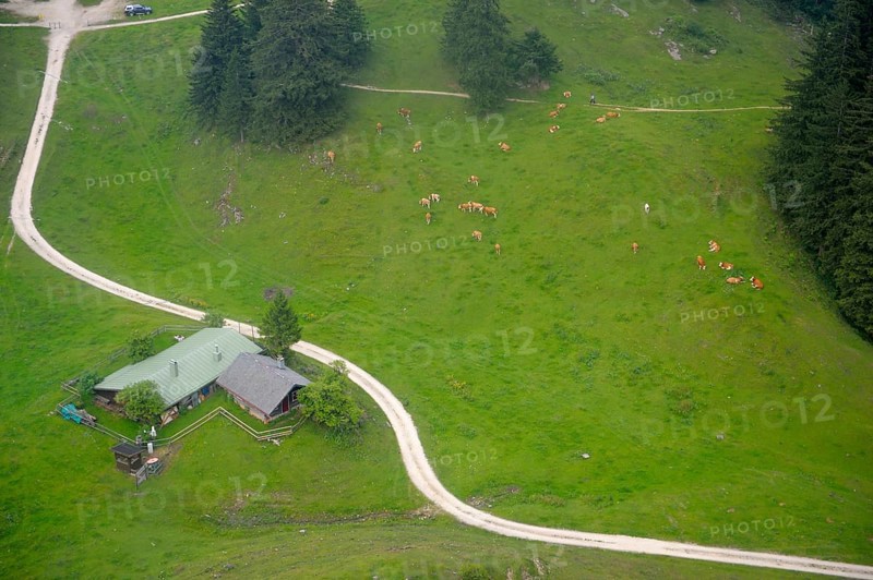View from gondola of Hochfellnbahn