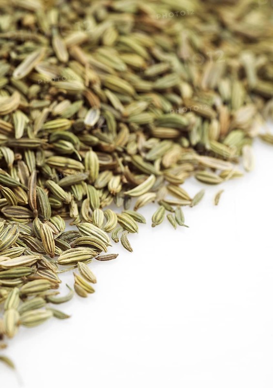 Seeds of fennel