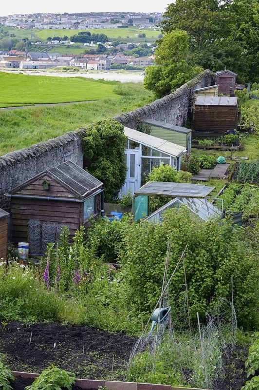 View of town allotments