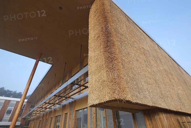 Sustainable straw clad building