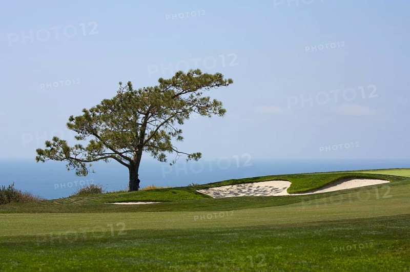 View from torrey pines golf course in san diego California