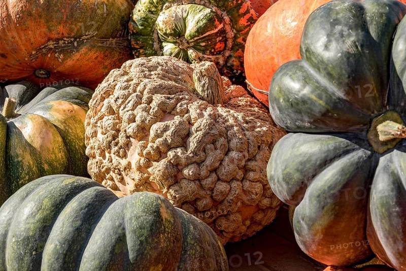Pumpkins