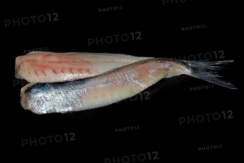 Freshly fermented fillet of Atlantic herring