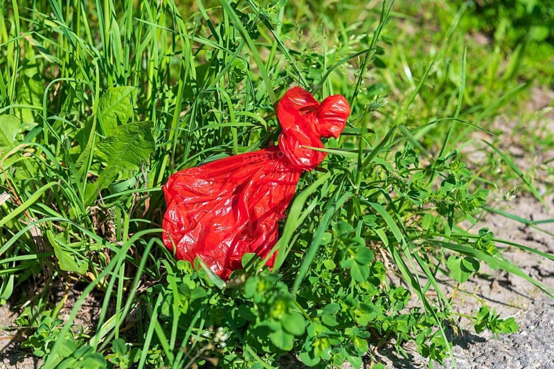 Dog excrement bag