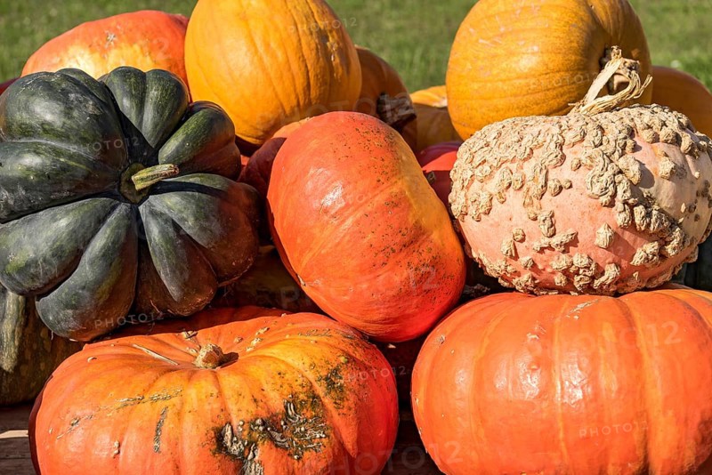 Pumpkins