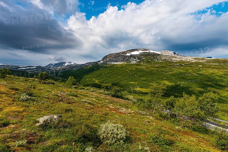 Boardwalk through grass in the Aurland plateau