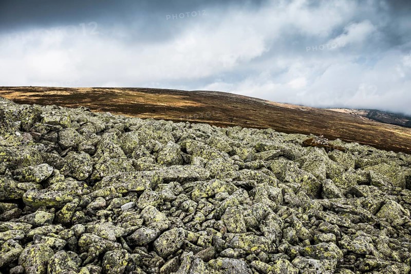 Stones with lichen