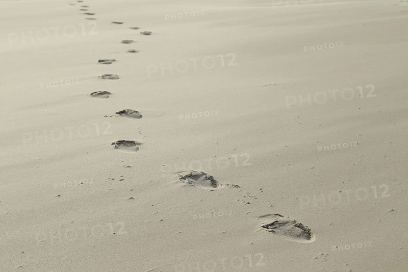 Footprints in the sand at Kniepsand