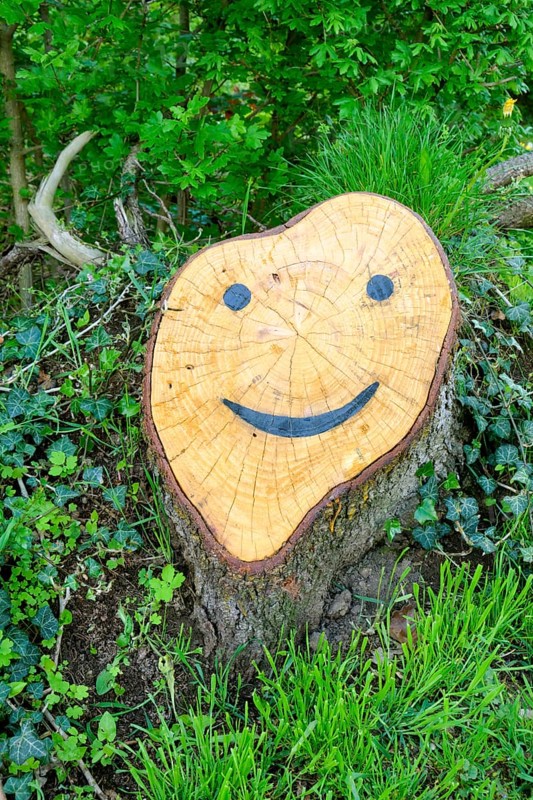 Tree stump with face near Bad Koesen