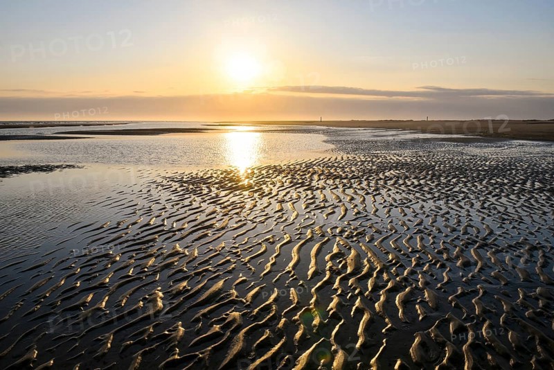 Sandy beach beach with ripple pattern