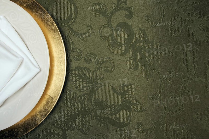 Silk background and plate setting overhead