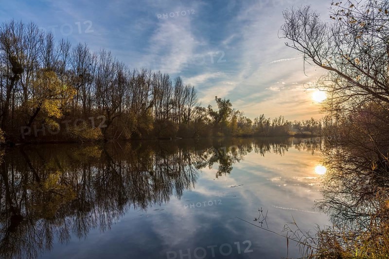 Taubergiessen Nature Reserve