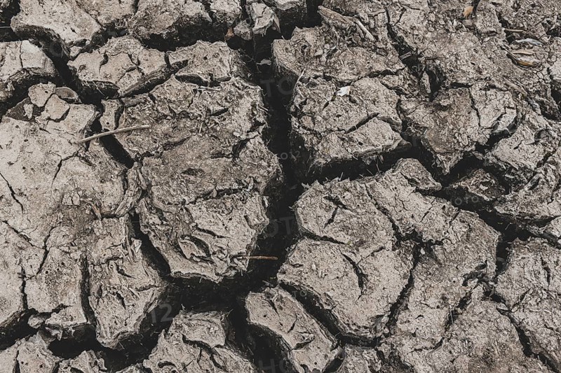 Cracked earth at the bottom of dried up lake