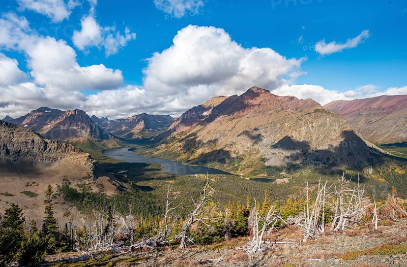 View of Two Medicine Lake with dead trees