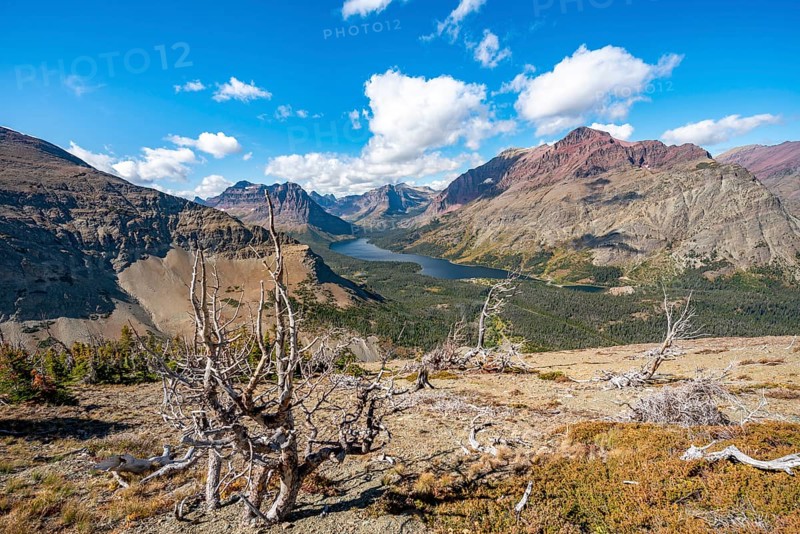 View of Two Medicine Lake with dead trees