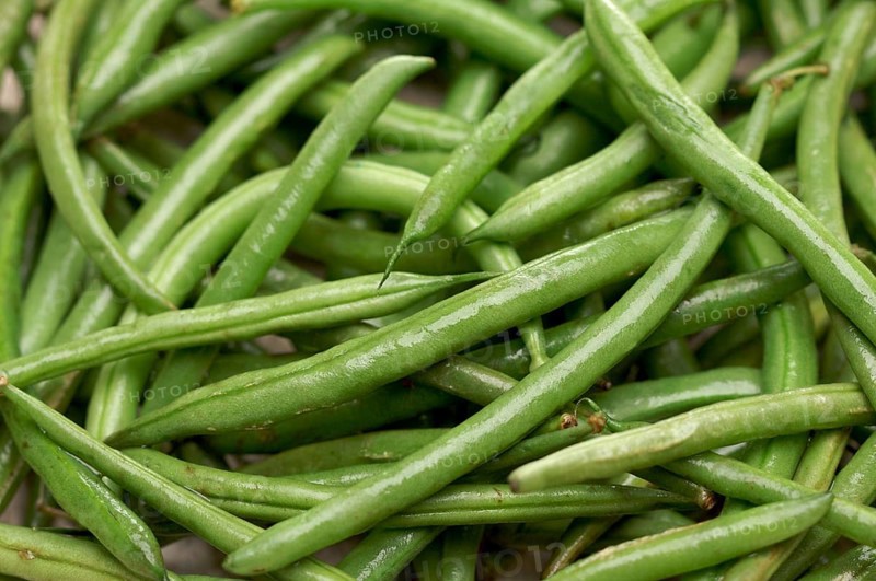 Fresh green beans background moist with water