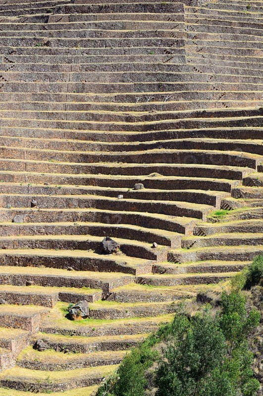 Walled terraces in the Inca ruins