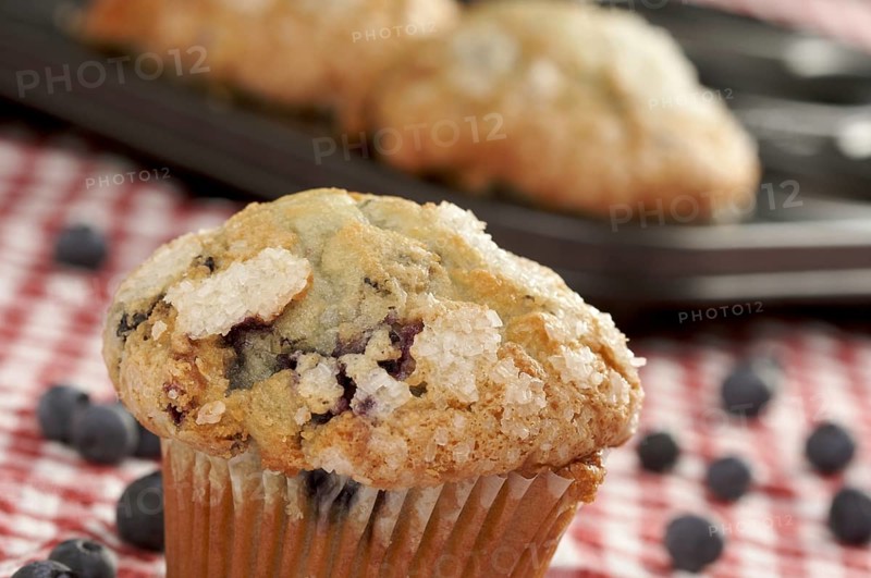 Fresh blueberry muffins out of the oven