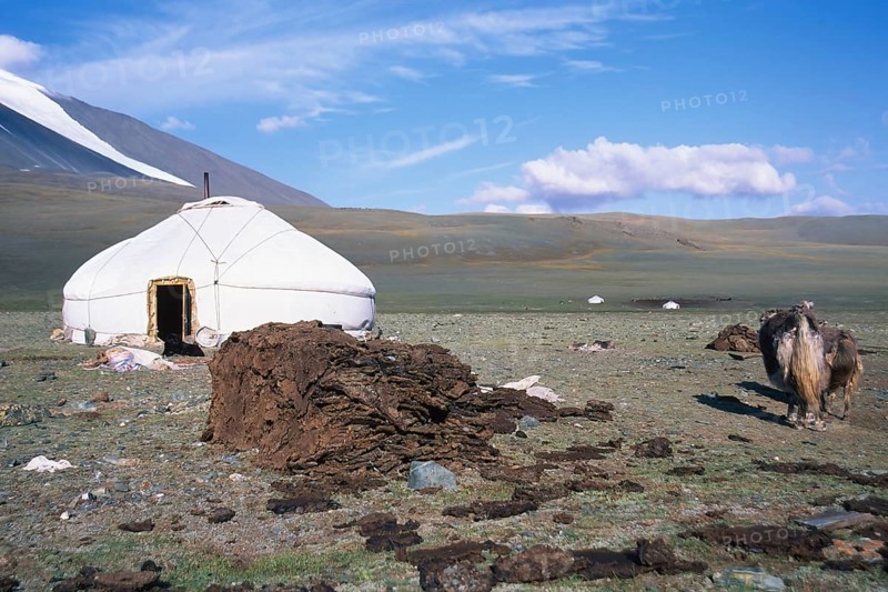 Pile of dung used for heating in front of a ger