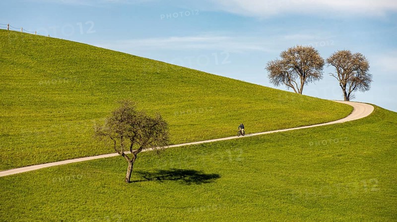 Cyclist riding on a narrow country road