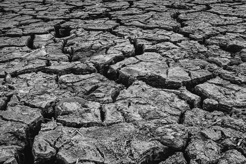 Cracked earth at the bottom of dried up lake