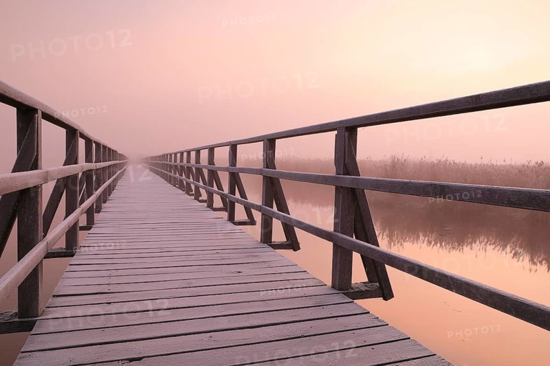 Wooden footbridge
