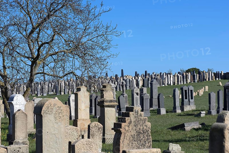 Gravestones at the Old Jewish Cemetery since 1432