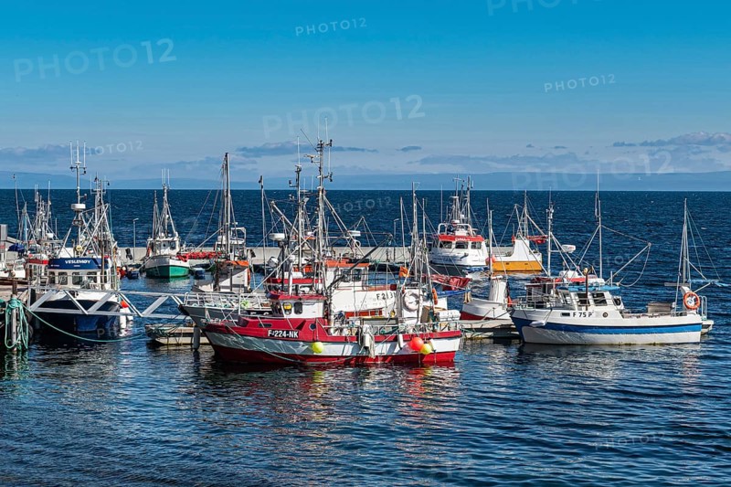 Little fishing boats