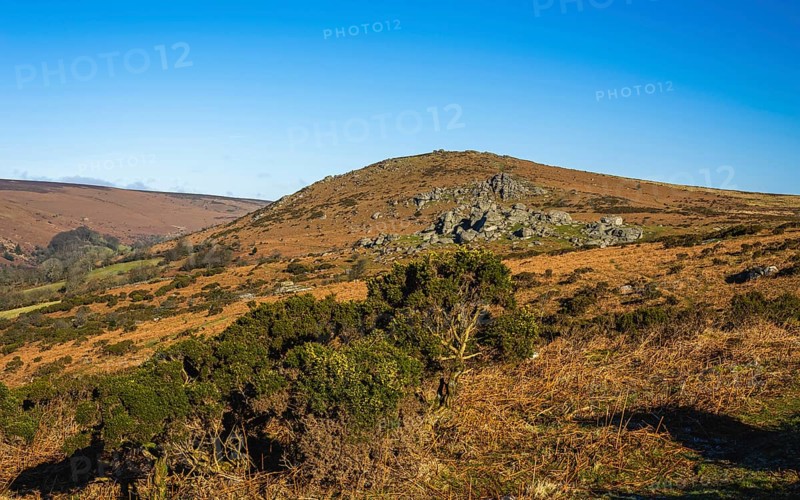 Fields and meadows in Haytor Rocks