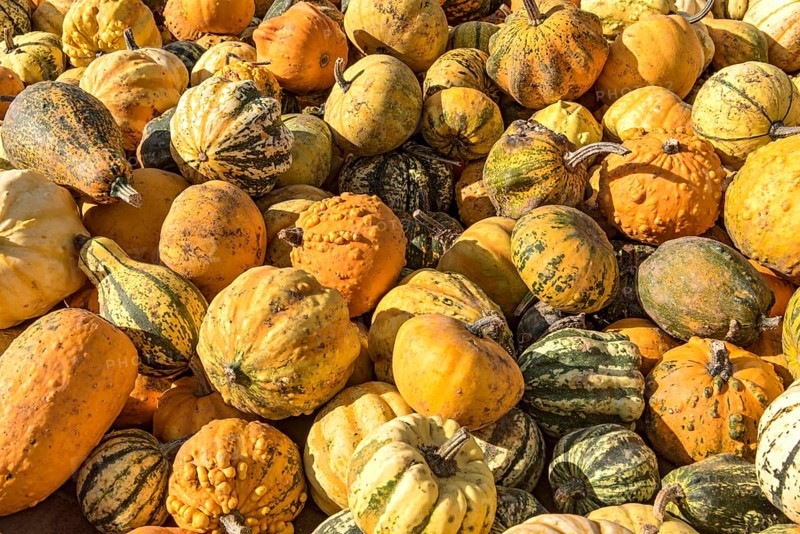 Pumpkins
