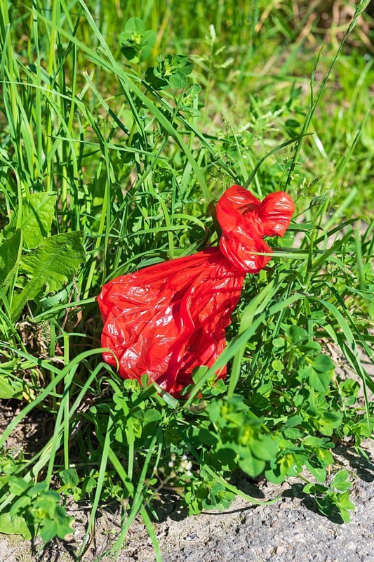 Dog excrement bag
