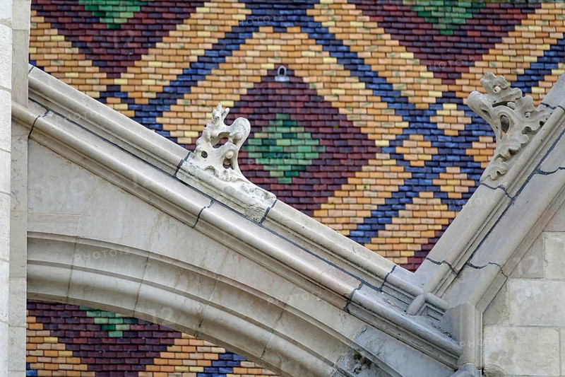 Roof covered with coloured shingles