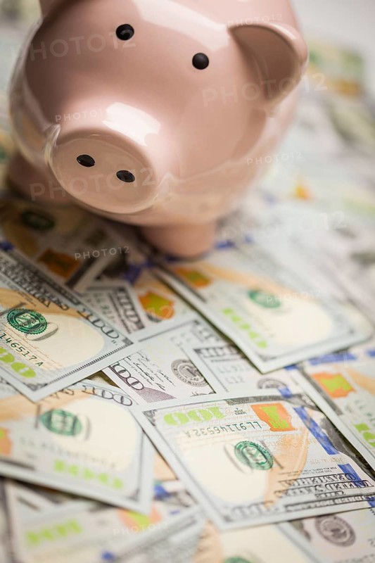 Piggy bank on stacks of newly designed one hundred dollar bills