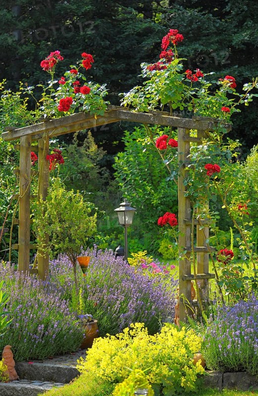 Rose arch