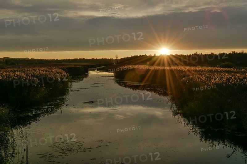 Kanzach in front of the mouth into the Federsee lake